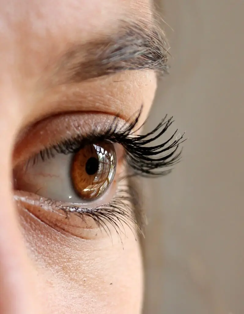 close-up of a woman's gorgeous eyelashes no glue used
