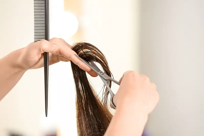 close-up of a professional hairdresser cutting layers in woman's hair